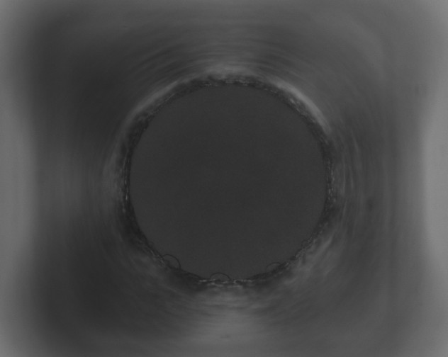 X0000102800919200808251046