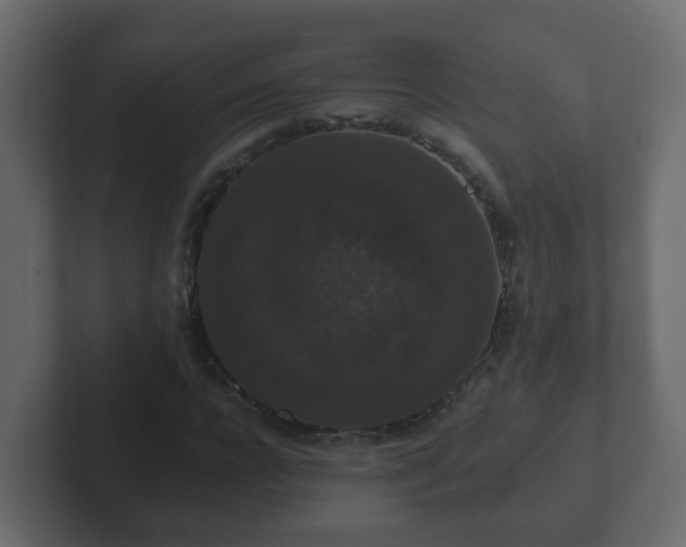 X0000102800920200808251046