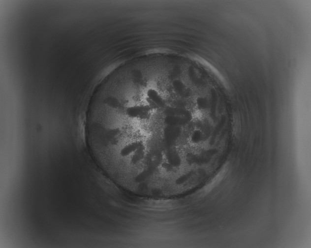 X0000102800921200808251046