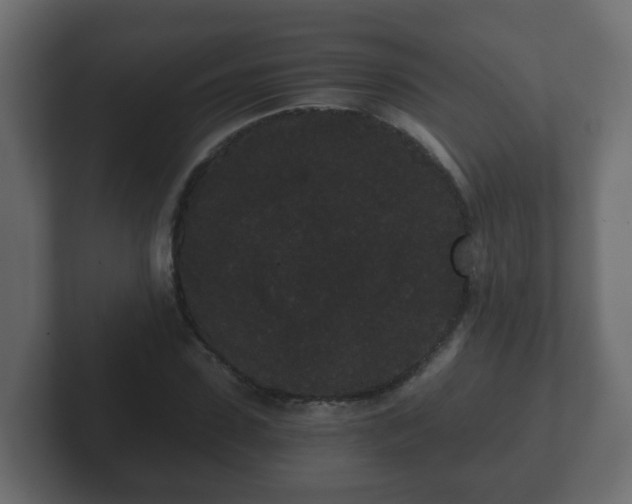 X0000102800923200808251046