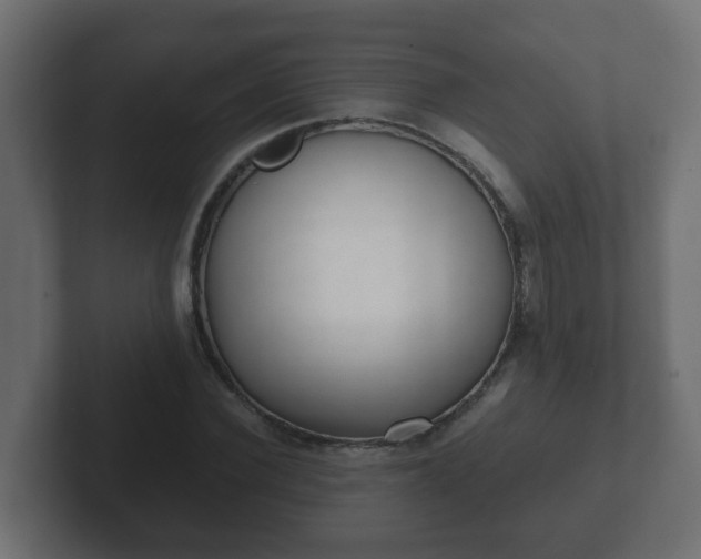 X0000102800924200808251046