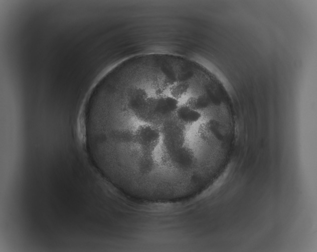 X0000102800925200808251046