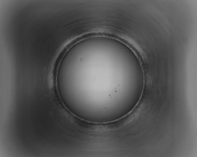 X0000102800927200808251046