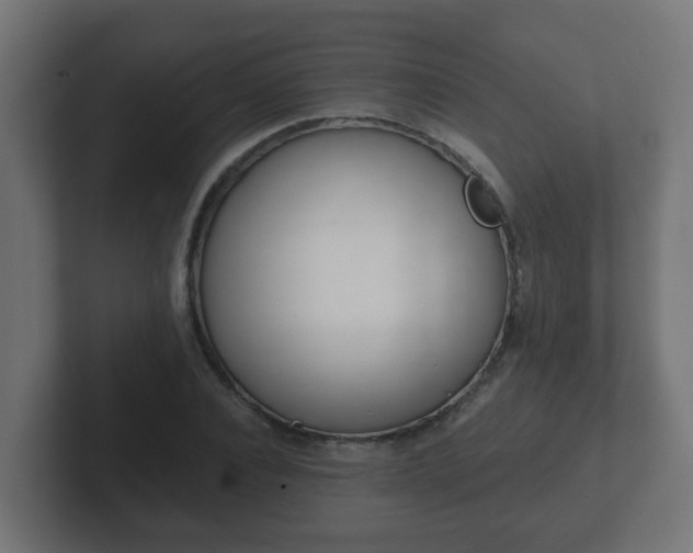 X0000102800928200808251046