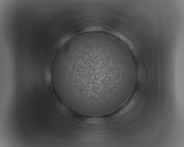 X0000102800929200808251046