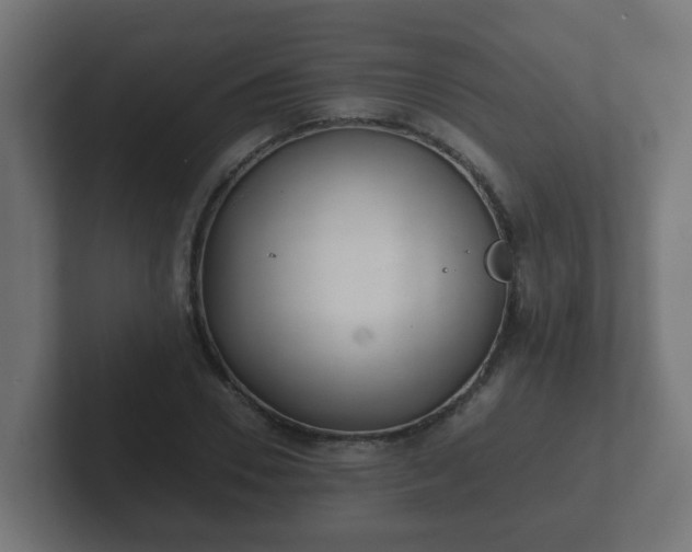 X0000102800930200808251046