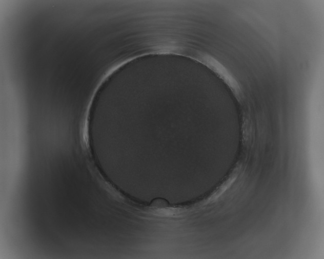 X0000102800932200808251046