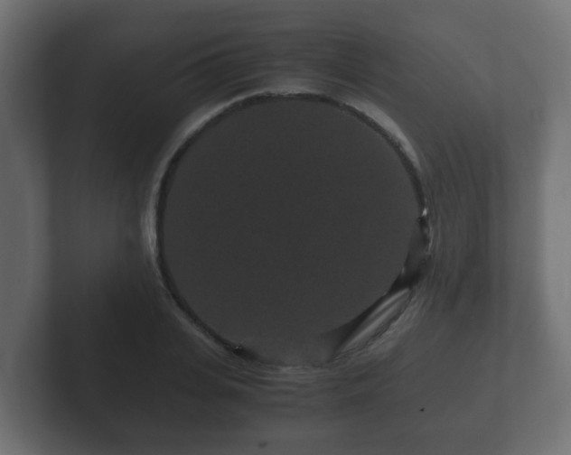 X0000102800935200808251046