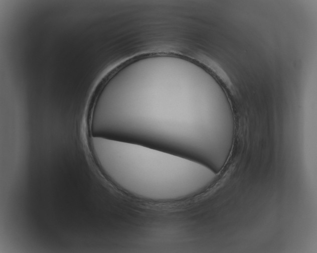 X0000102800936200808251046