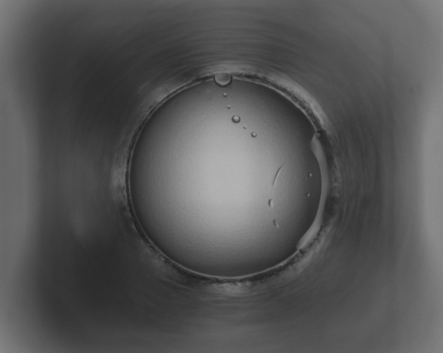 X0000102800937200808251046