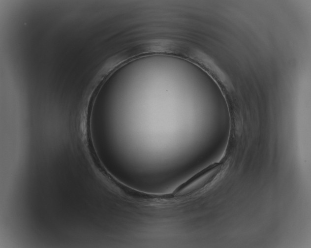 X0000102800938200808251046