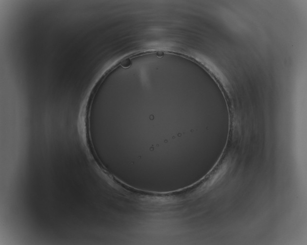 X0000102800941200808251046