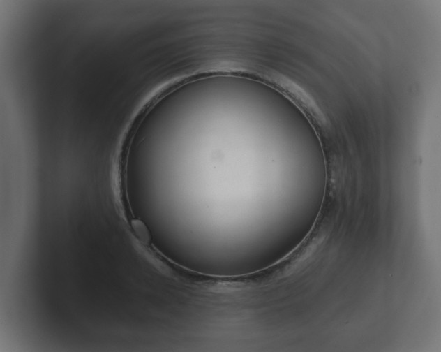 X0000102800942200808251046