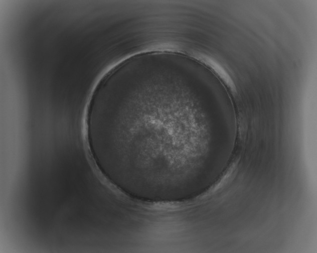 X0000102800944200808251046