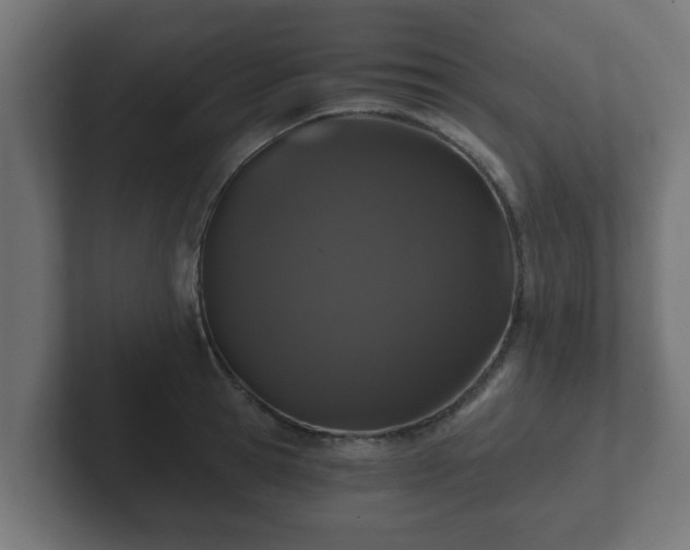 X0000102800945200808251046