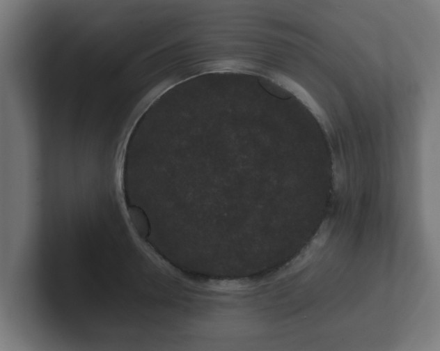 X0000102800946200808251046