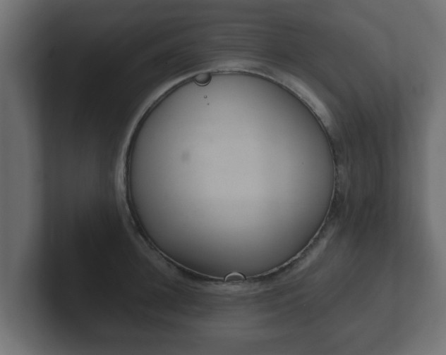 X0000102800948200808251046