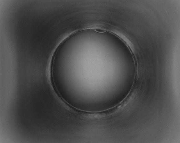 X0000102800949200808251046