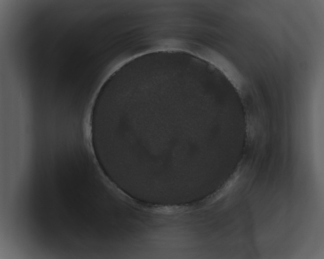 X0000102800950200808251046