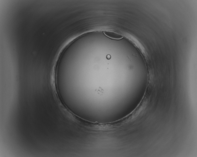 X0000102800952200808251046