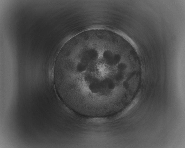 X0000102800953200808251046