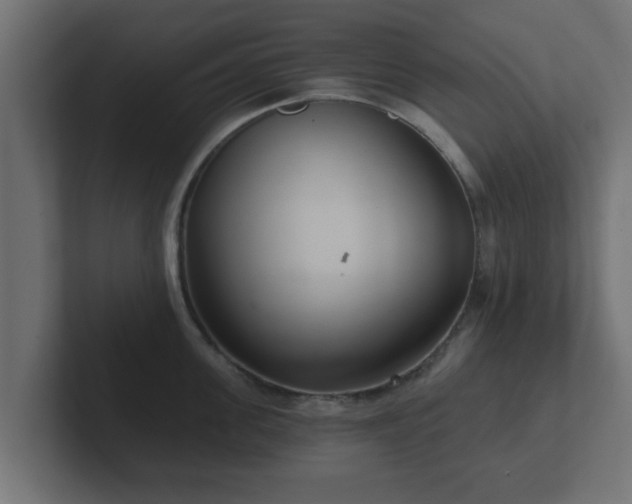 X0000102800955200808251046