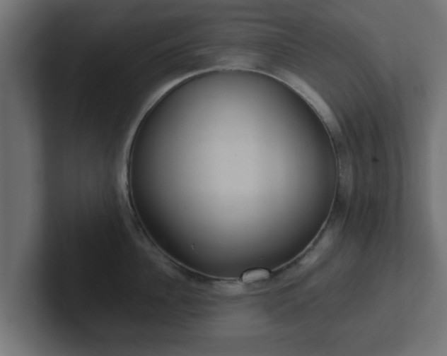 X0000102800956200808251046