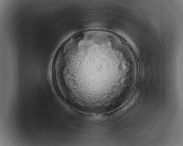 X0000102800957200808251046