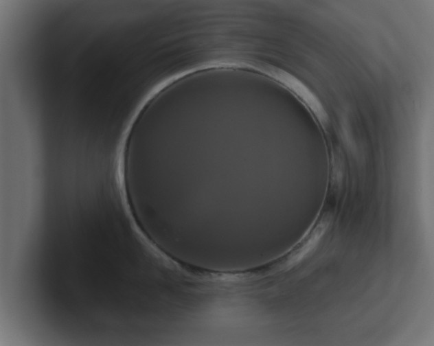 X0000102800958200808251046