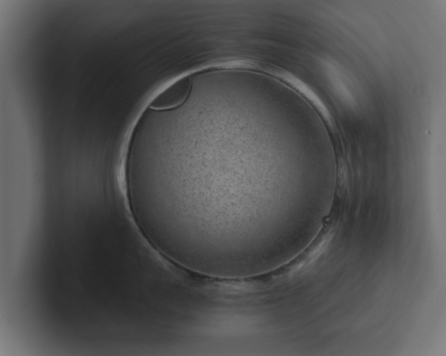 X0000102800959200808251046