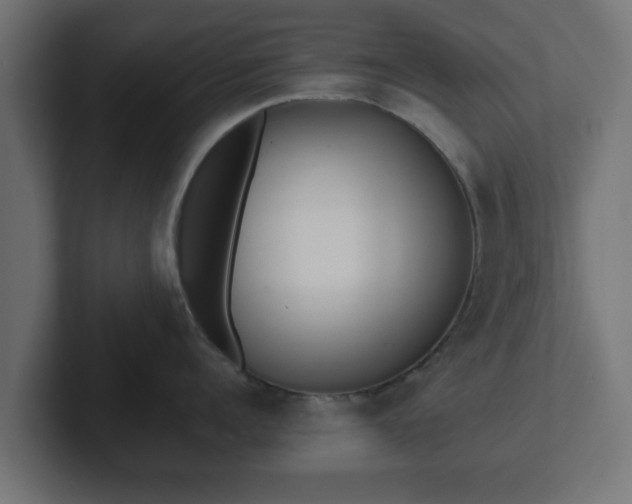 X0000102800960200808251046