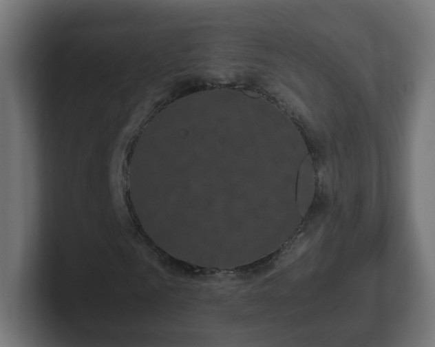 X0000102800961200808251046