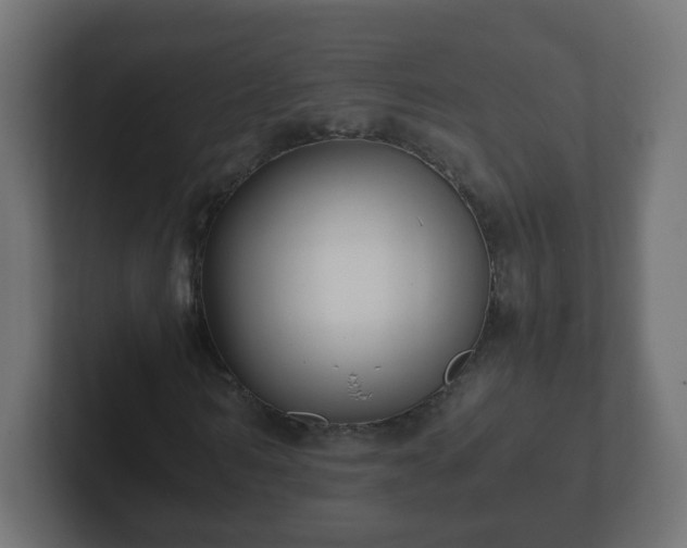 X0000102800962200808251046