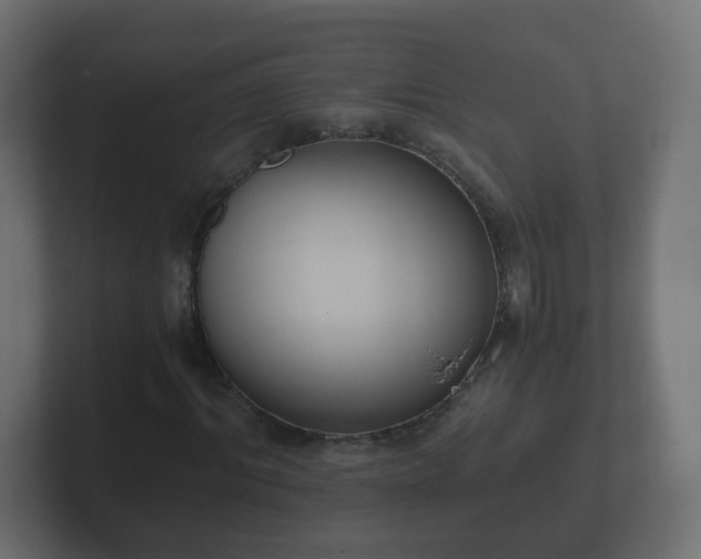 X0000102800964200808251045