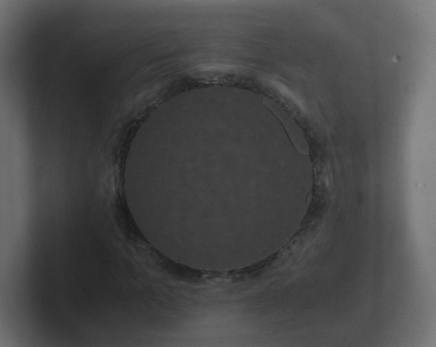 X0000102800965200808251045