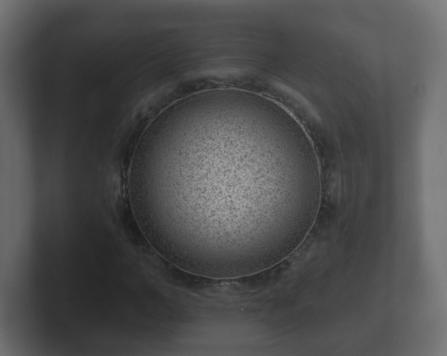 X0000102800966200808251045