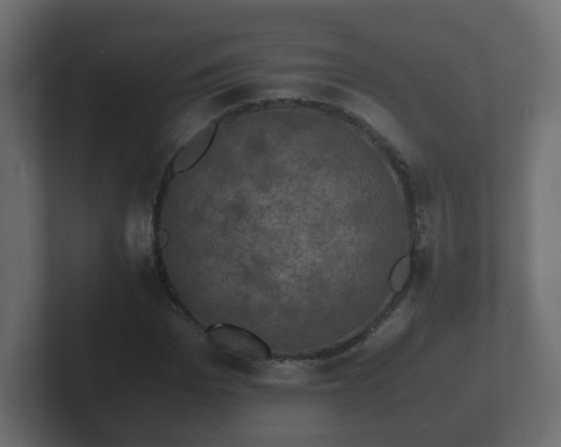 X0000102800969200808251045