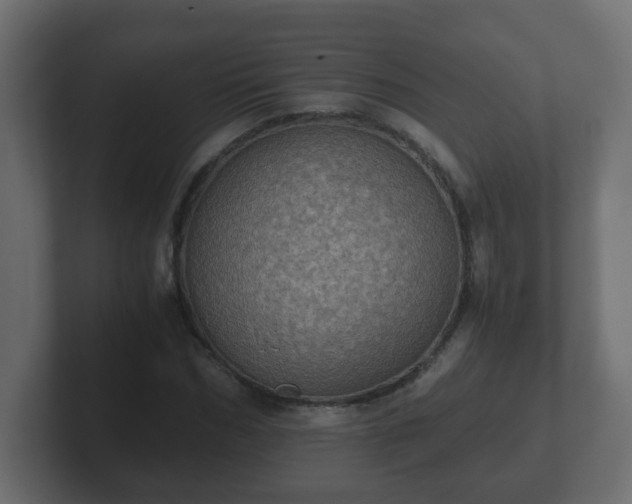 X0000102800970200808251045