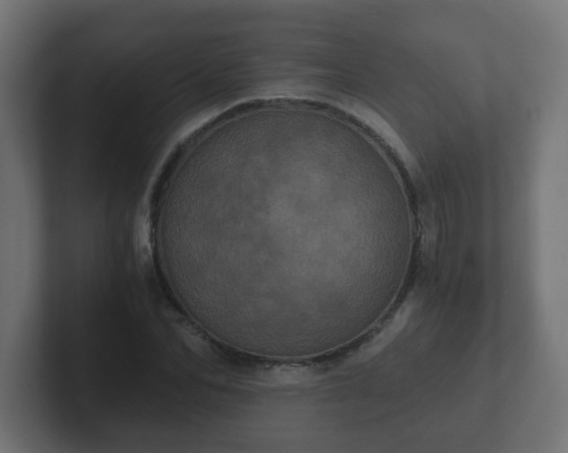 X0000102800974200808251045