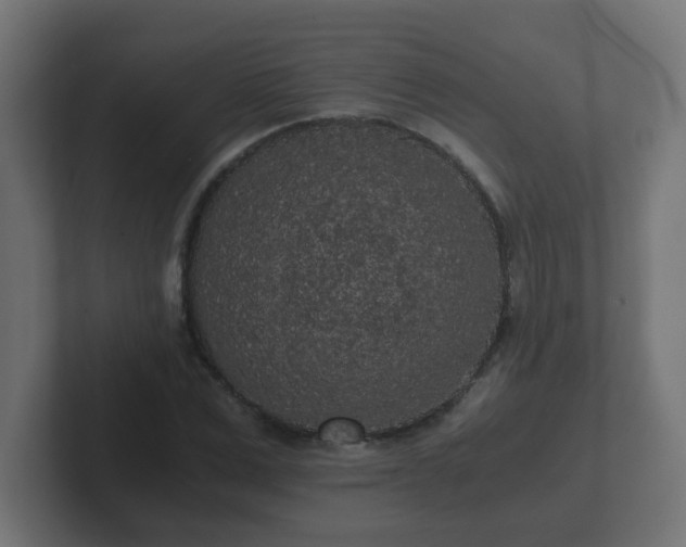 X0000102800975200808251045