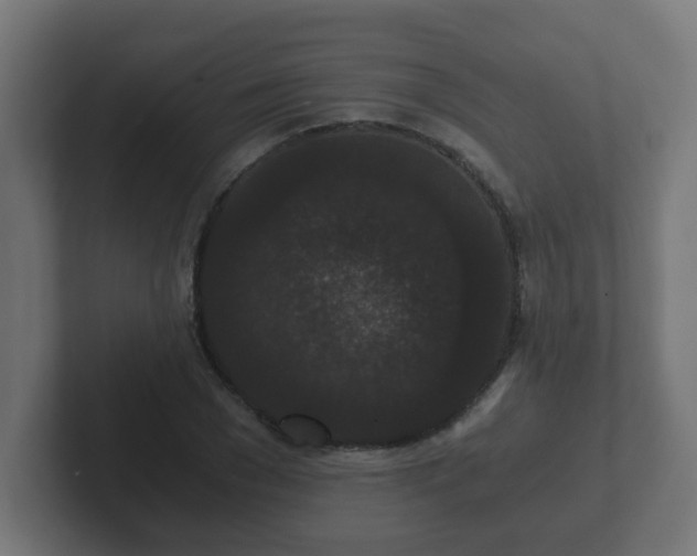 X0000102800977200808251045