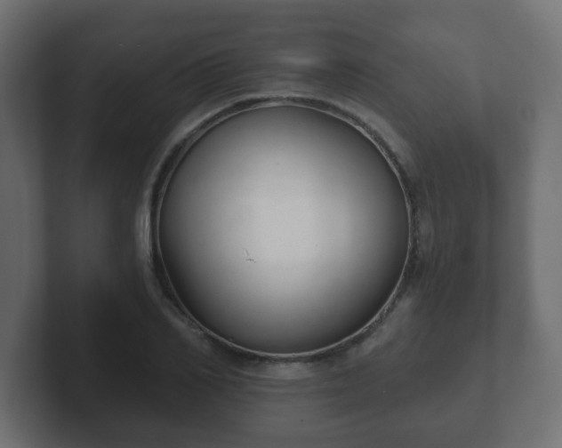 X0000102800982200808251045