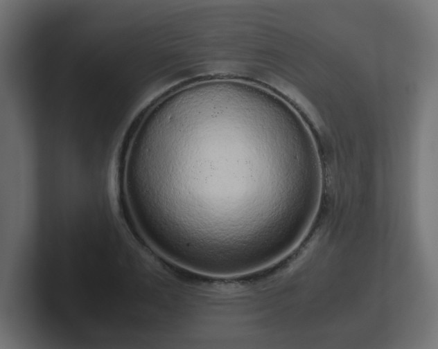 X0000102800983200808251045