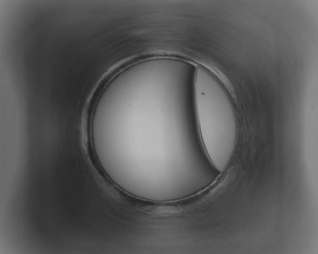 X0000102800984200808251045