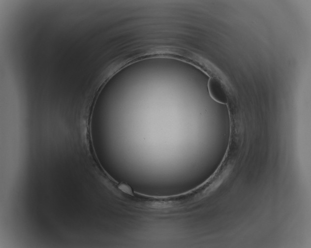 X0000102800985200808251045