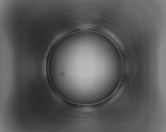 X0000102800986200808251045