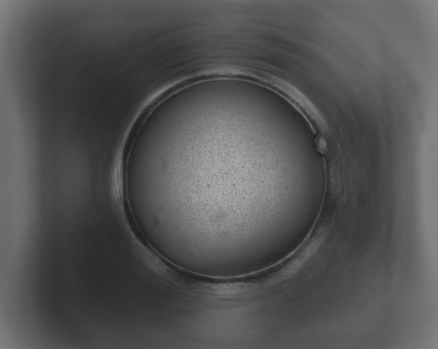 X0000102800988200808251045