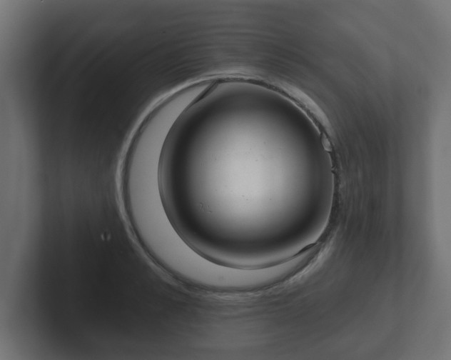 X0000102800989200808251045