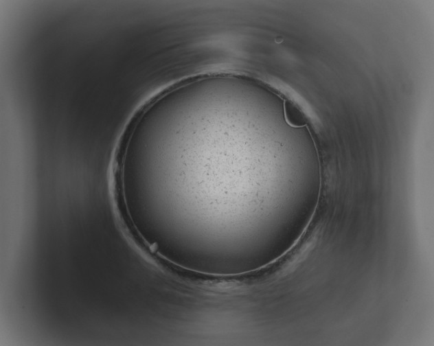 X0000102800991200808251045