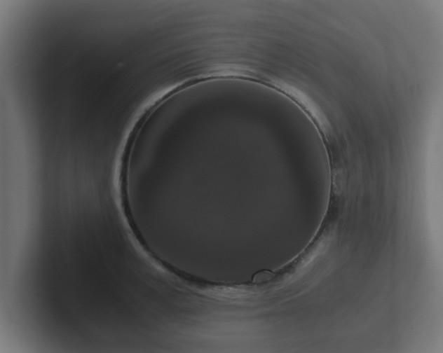 X0000102800995200808251045